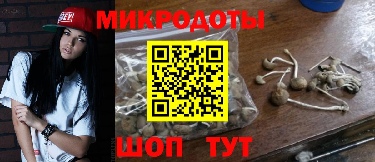 Псилоцибиновые грибы MAGIC MUSHROOMS  Вход с VPN  Киселёвск 
